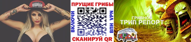 Галлюциногенные грибы Magic Shrooms  Купить где  Харабали 